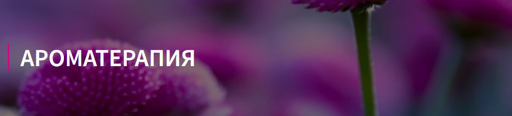 [ФитоВеда] Юлия Коршикова - Пакет курсов Аромотера_0.png